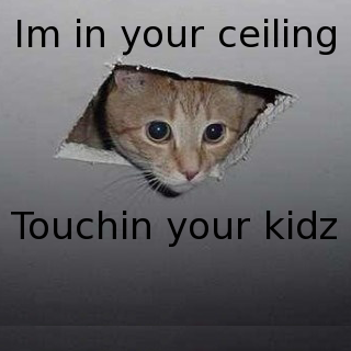 ceiling-cat.png